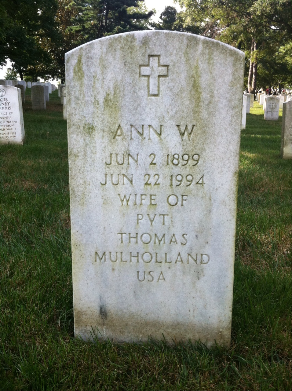 Ann Mulholland
