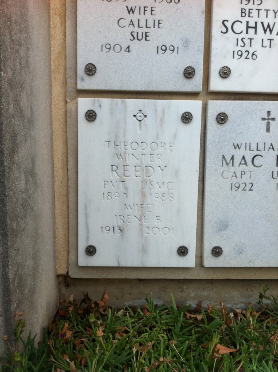 Theodore W Reedy