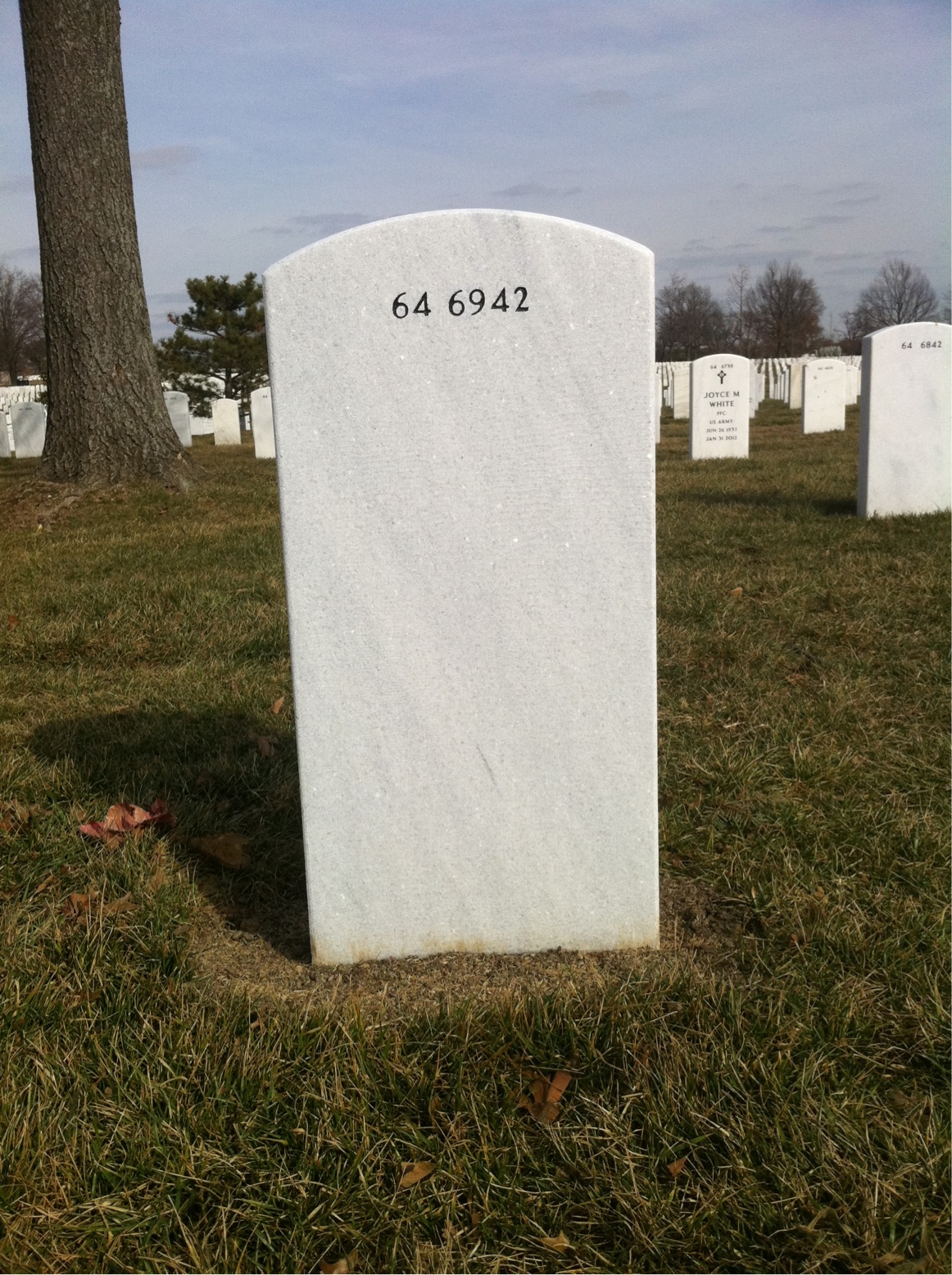 Back of headstone — Thomas O Darter