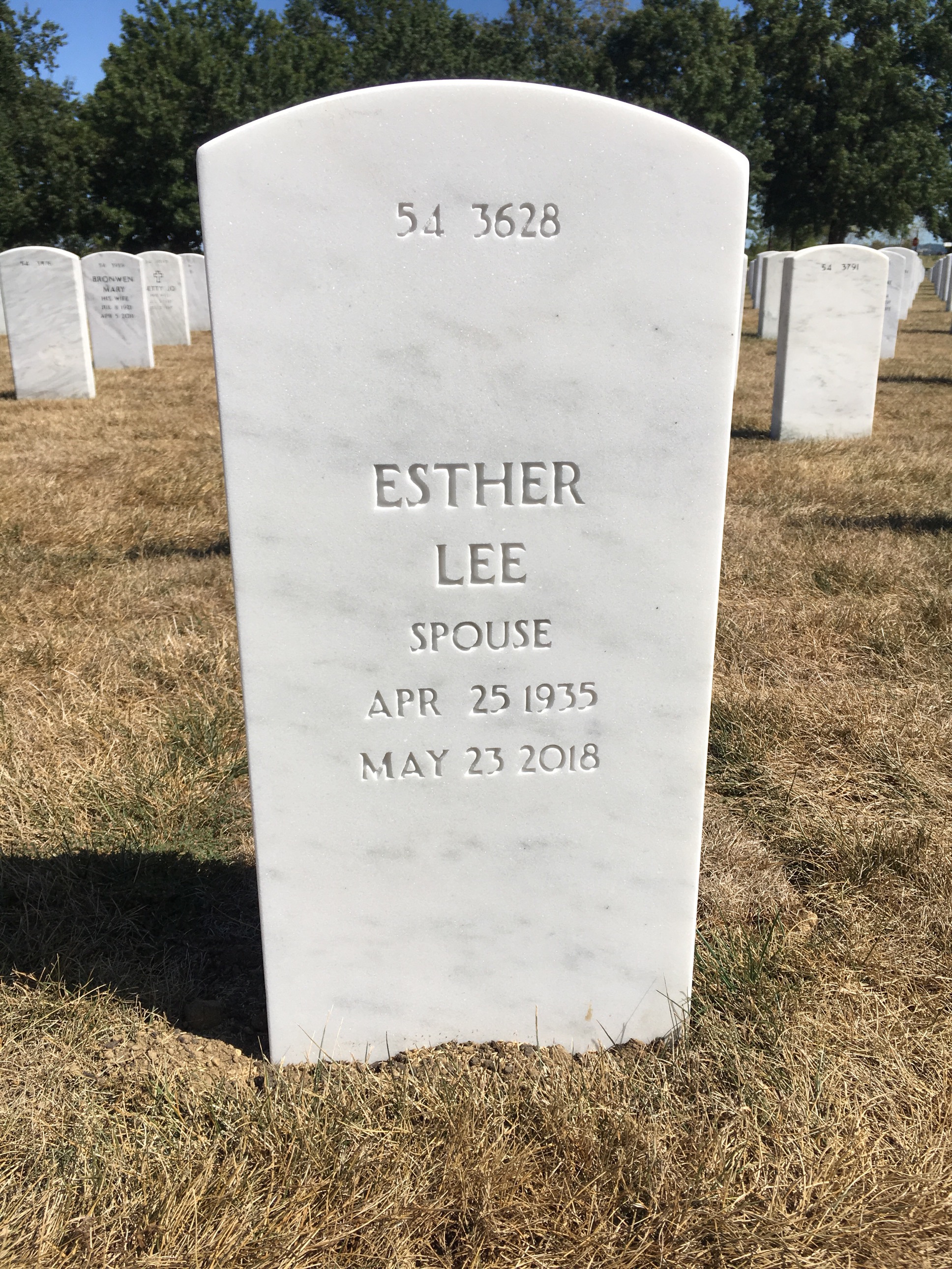 Back of headstone — Hamilton Webb