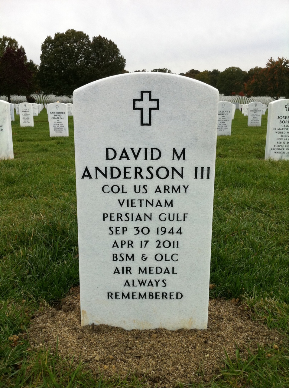 David Anderson