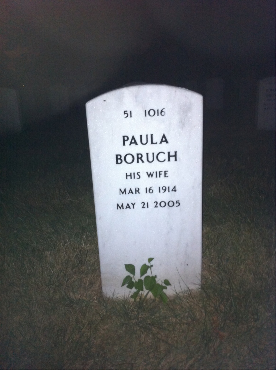 Back of headstone — Mathew Mccarty
