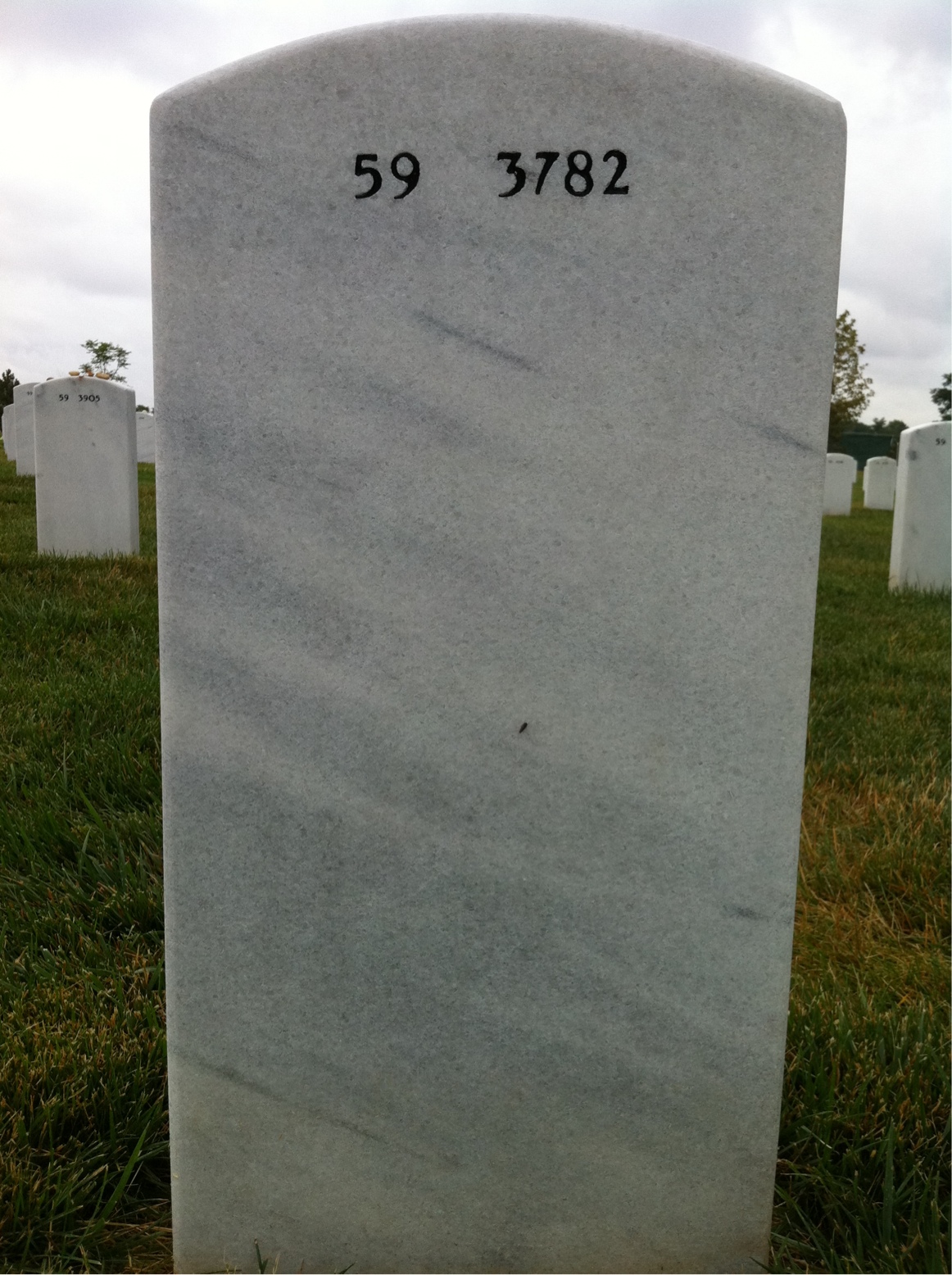 Back of headstone — Robert Kleyla