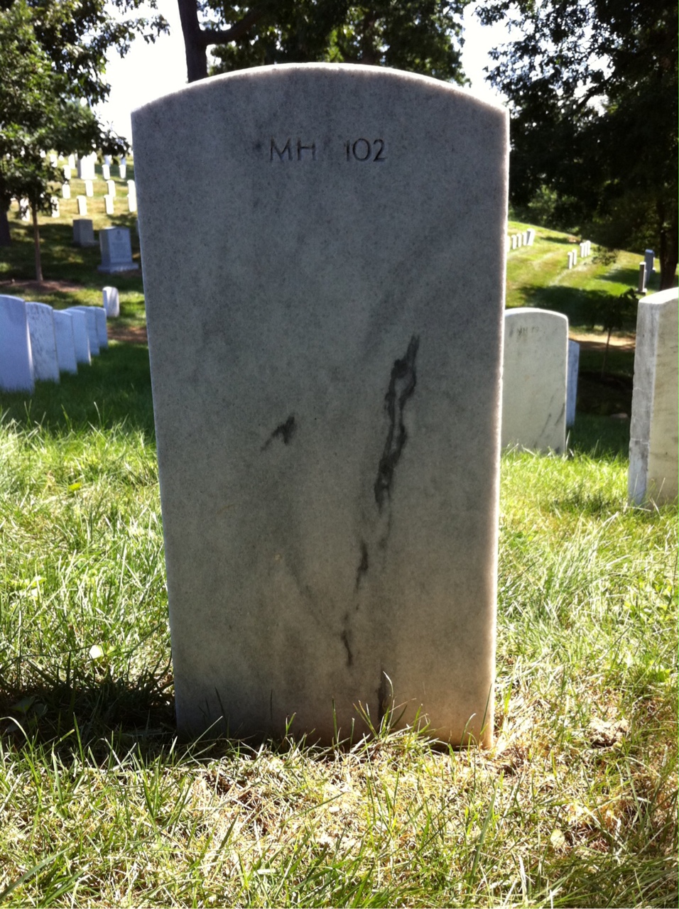 Back of headstone — William Botter