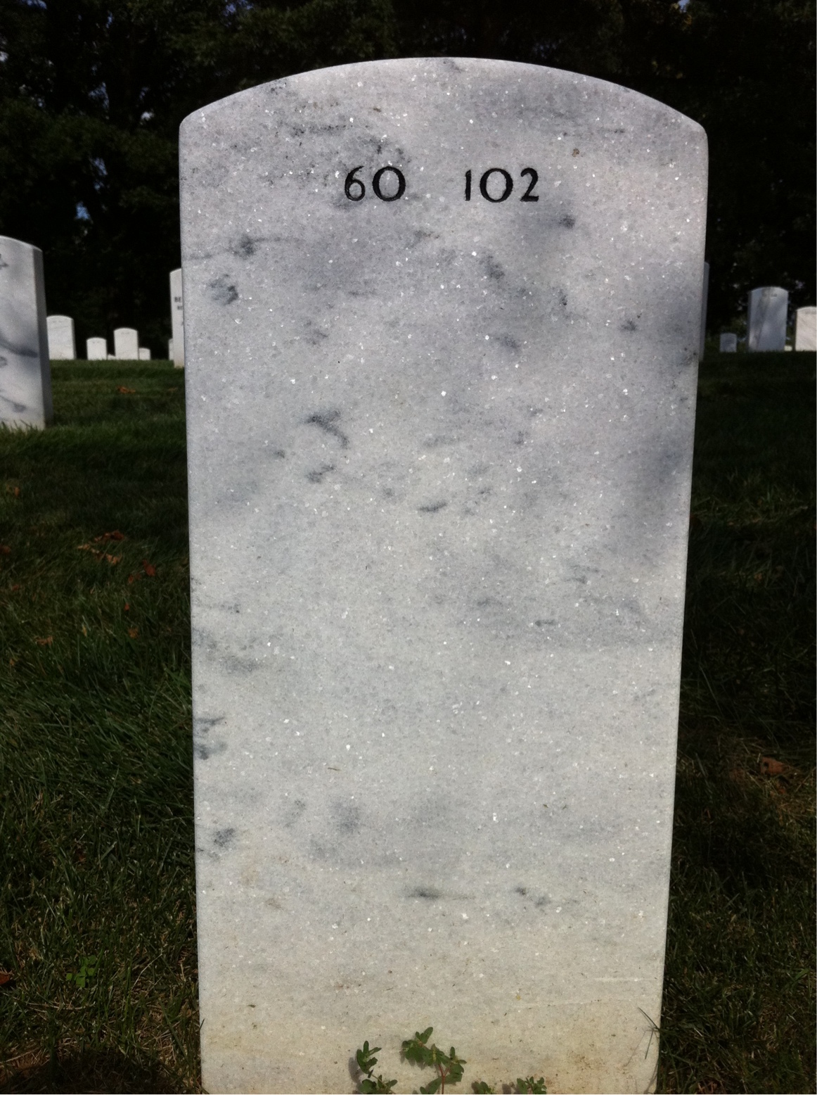 Back of headstone — William Thayer