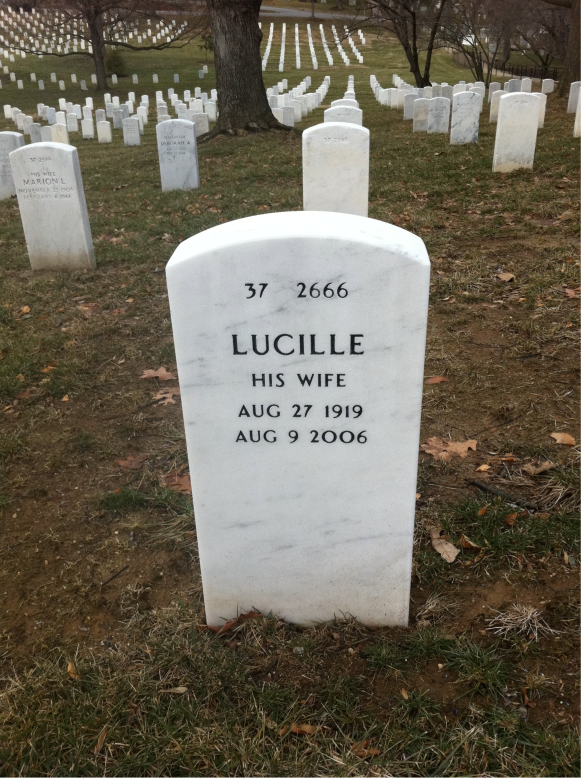 Back of headstone — James Zwayer