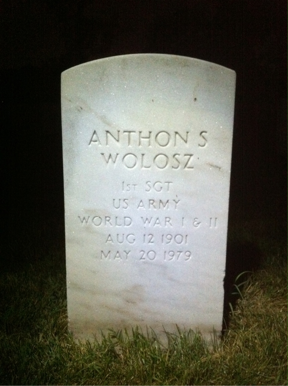 Anthon S Wolosz