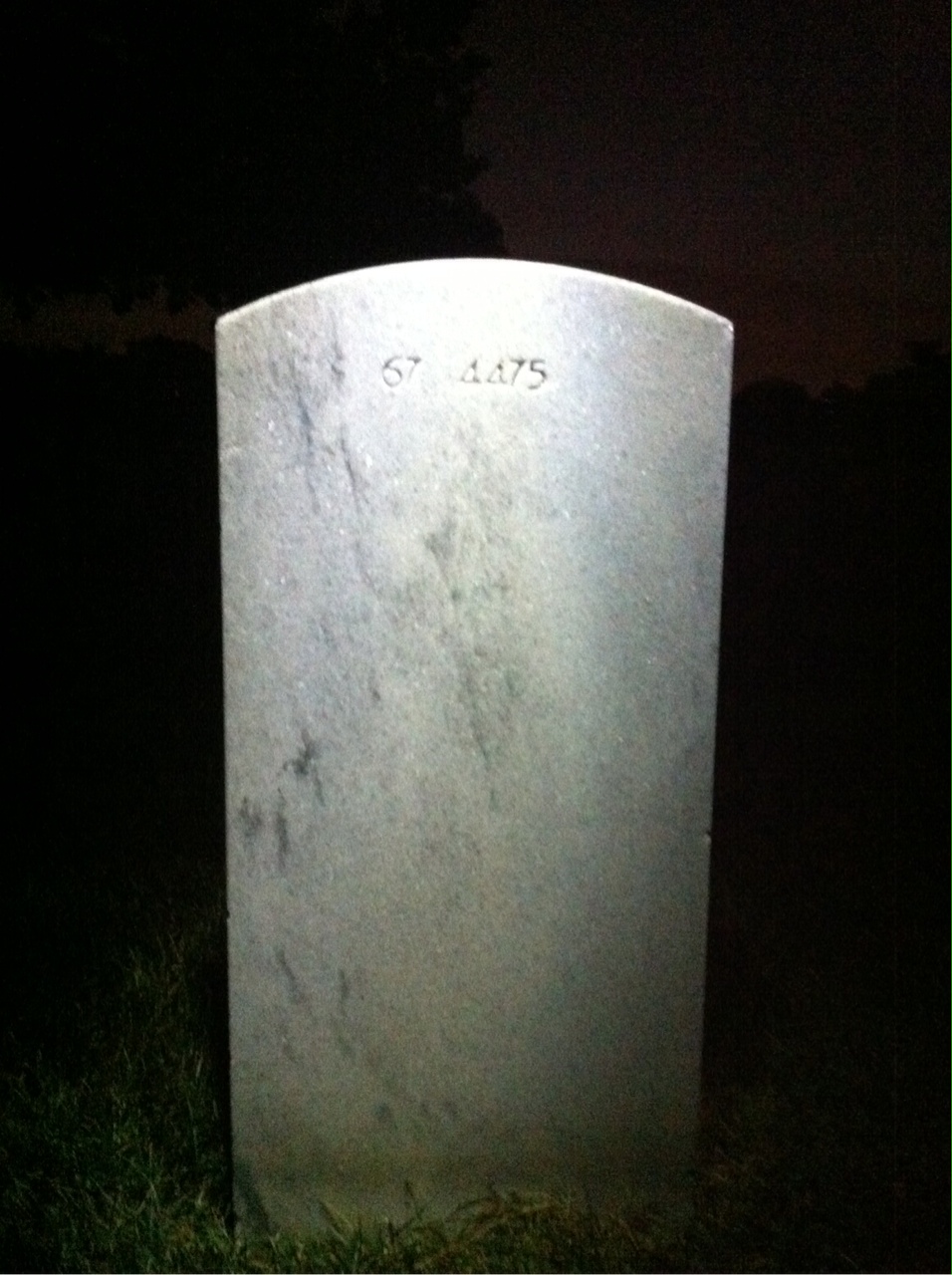 Back of headstone — Theodore A Bliss