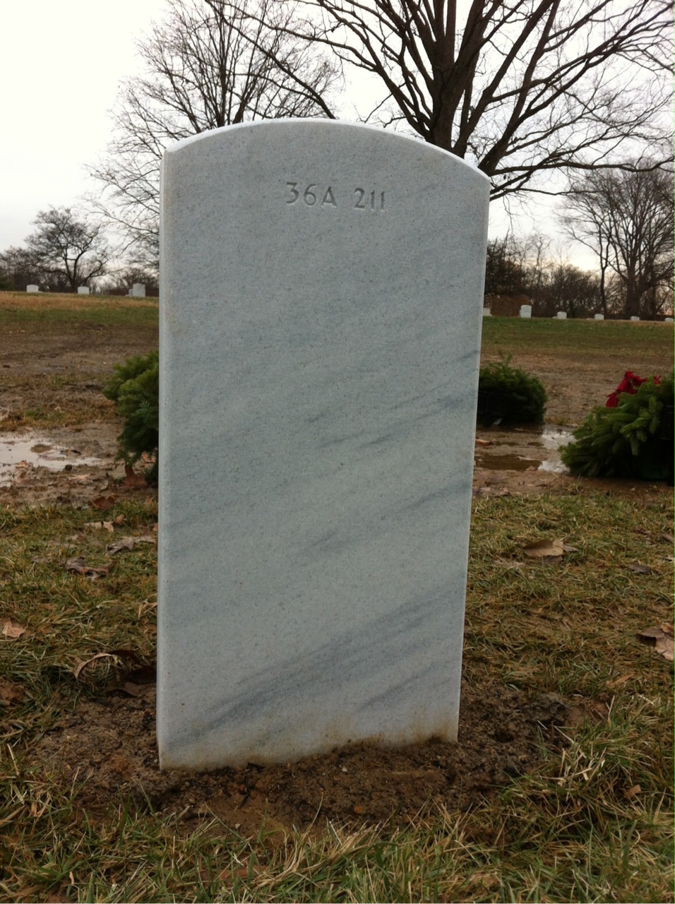 Back of headstone — Wesley Emerson Stelk
