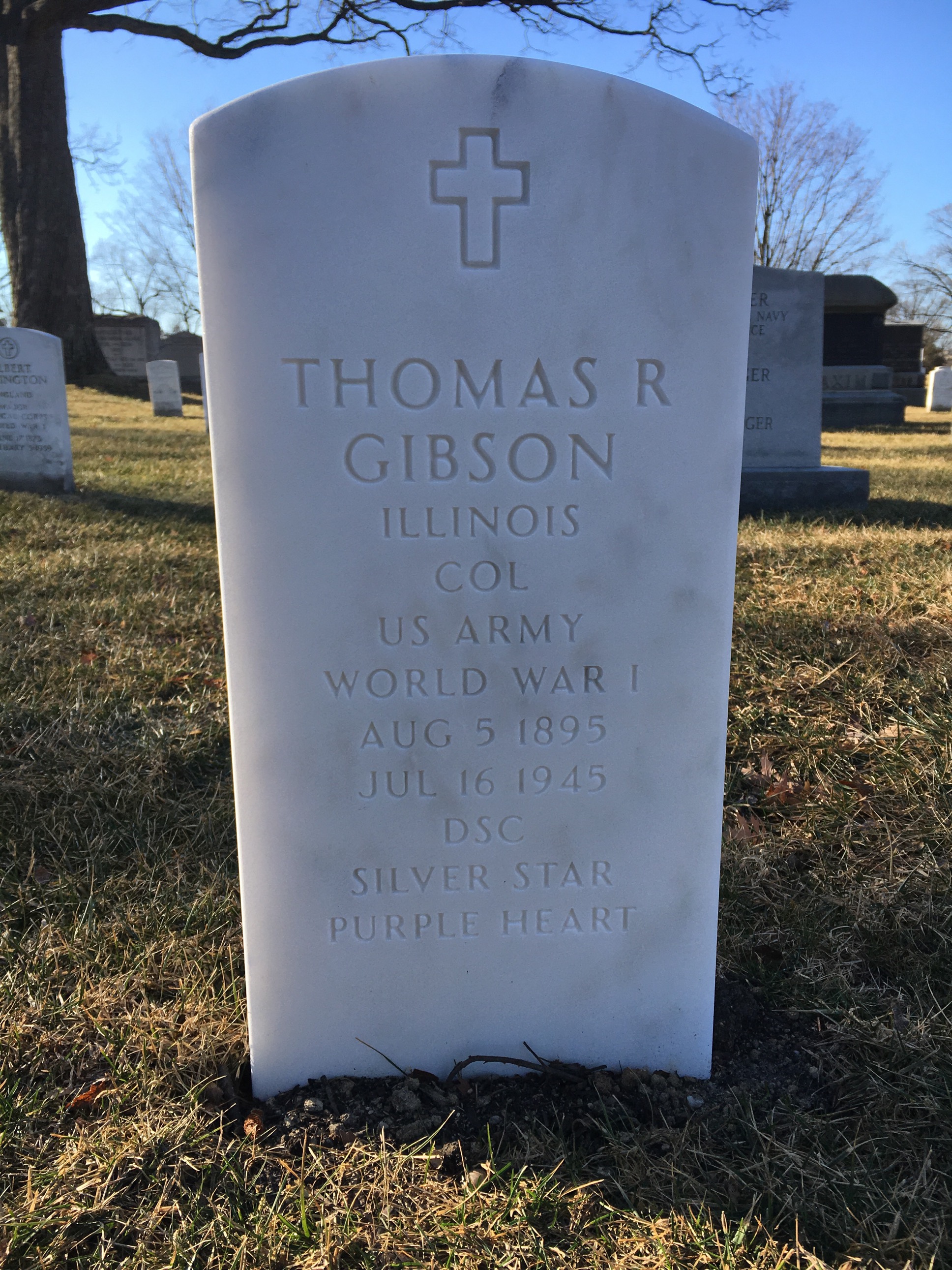 Thomas H Gibson