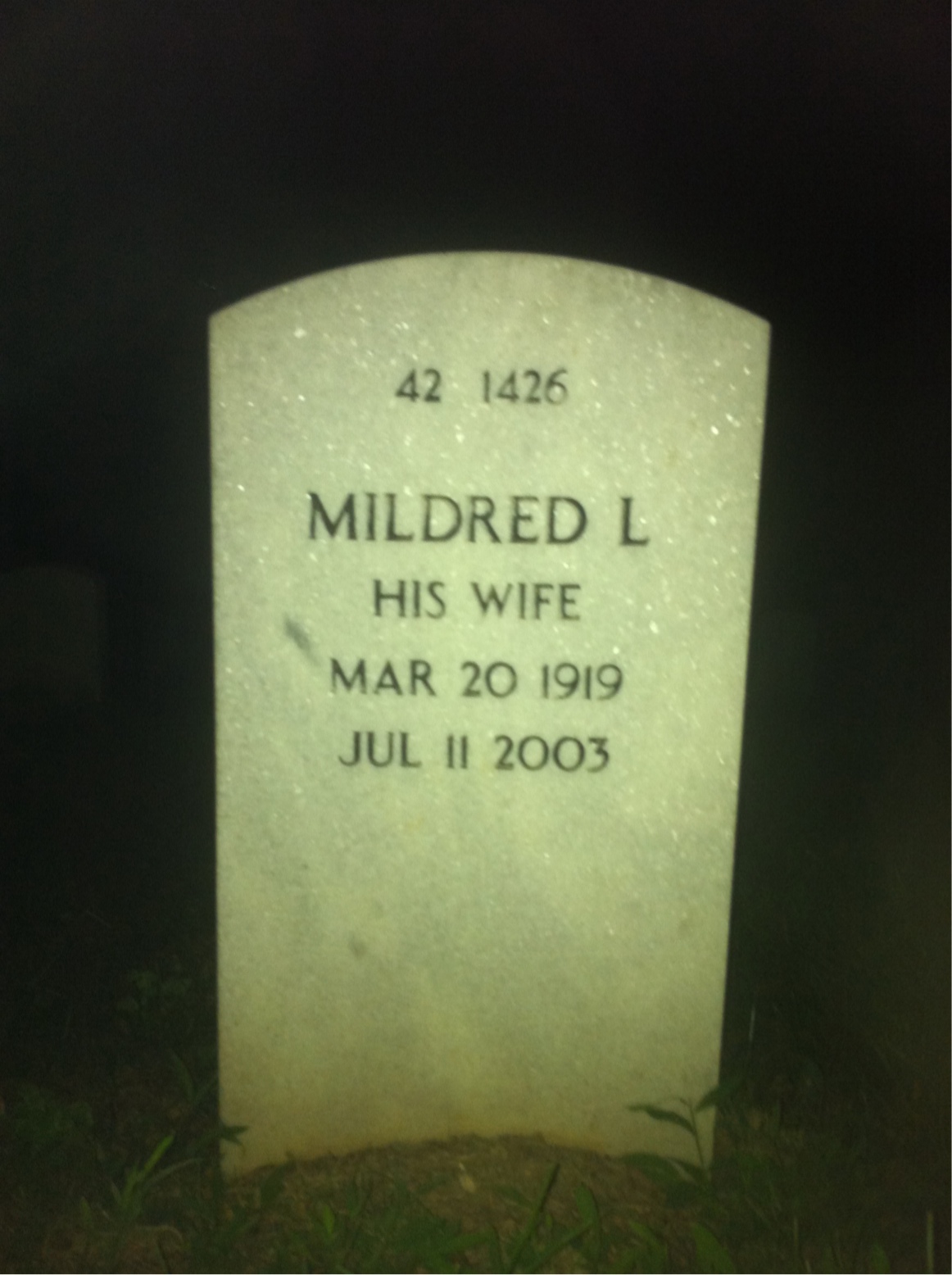 Back of headstone — Francis Collins