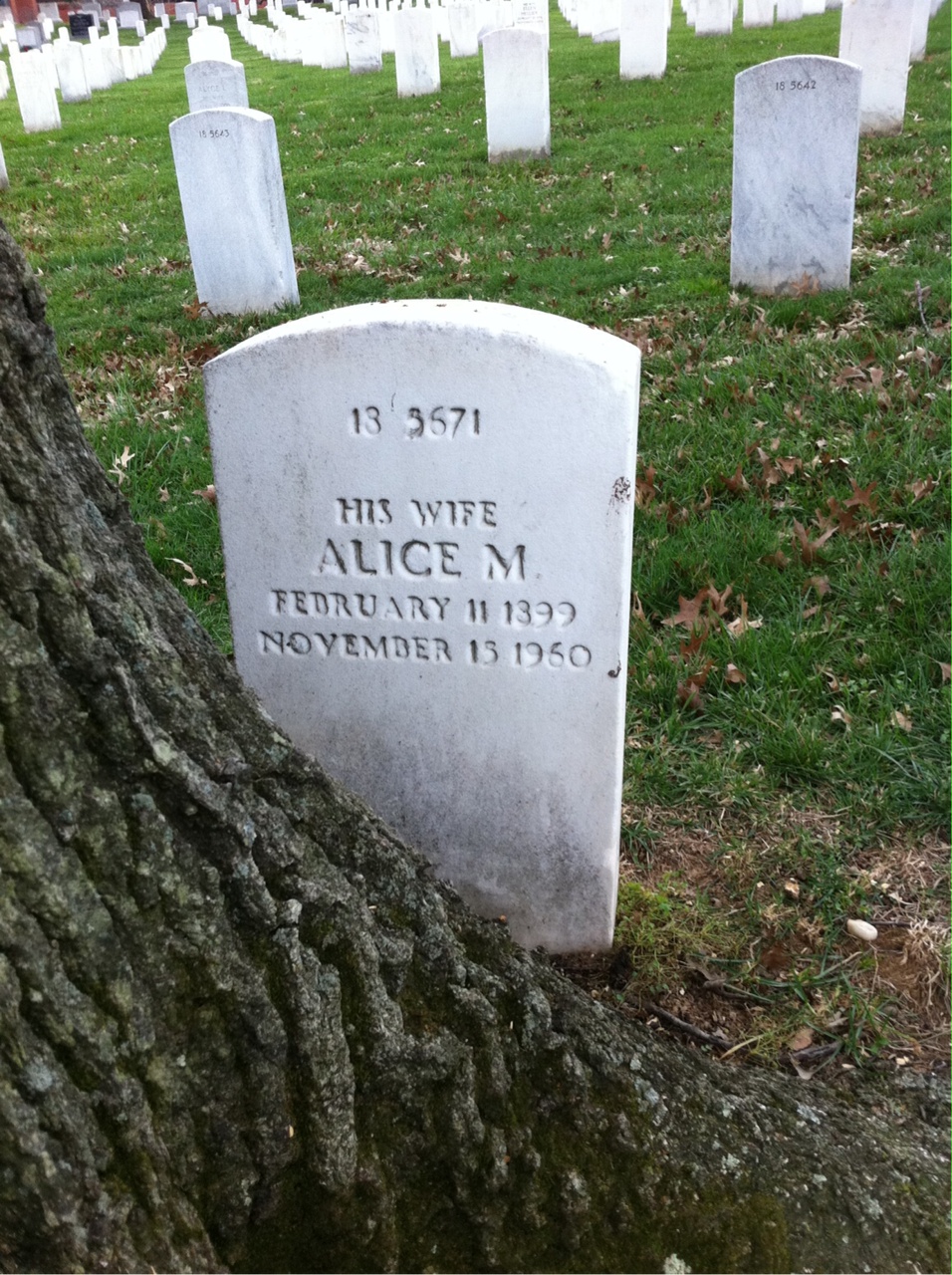 Back of headstone — Alice Mountz