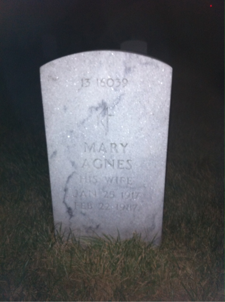 Back of headstone — Henry Ballein