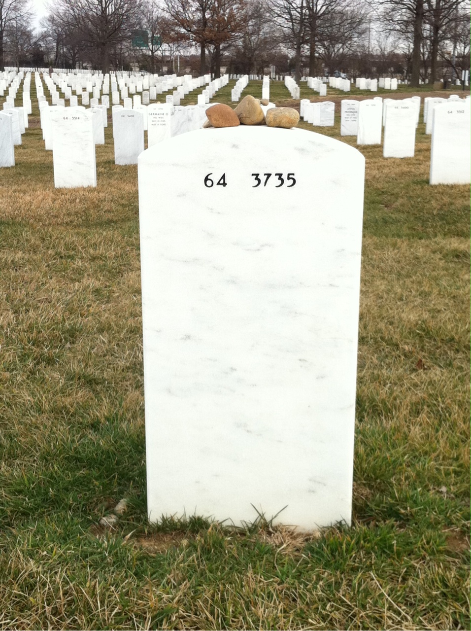 Back of headstone — Elmer Alifano