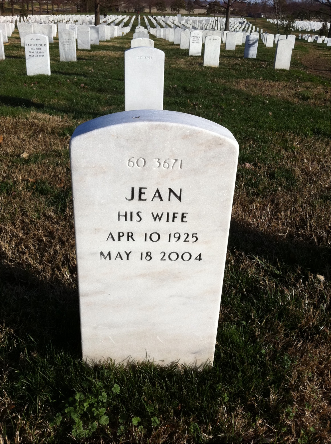 Back of headstone — Carroll Mcelroy