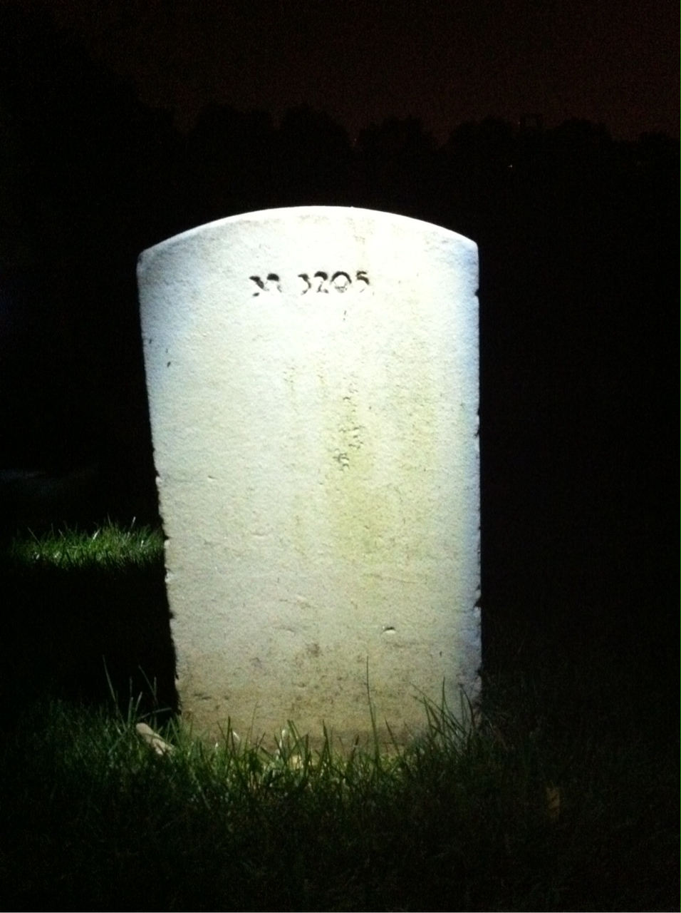 Back of headstone — Frances Murphy