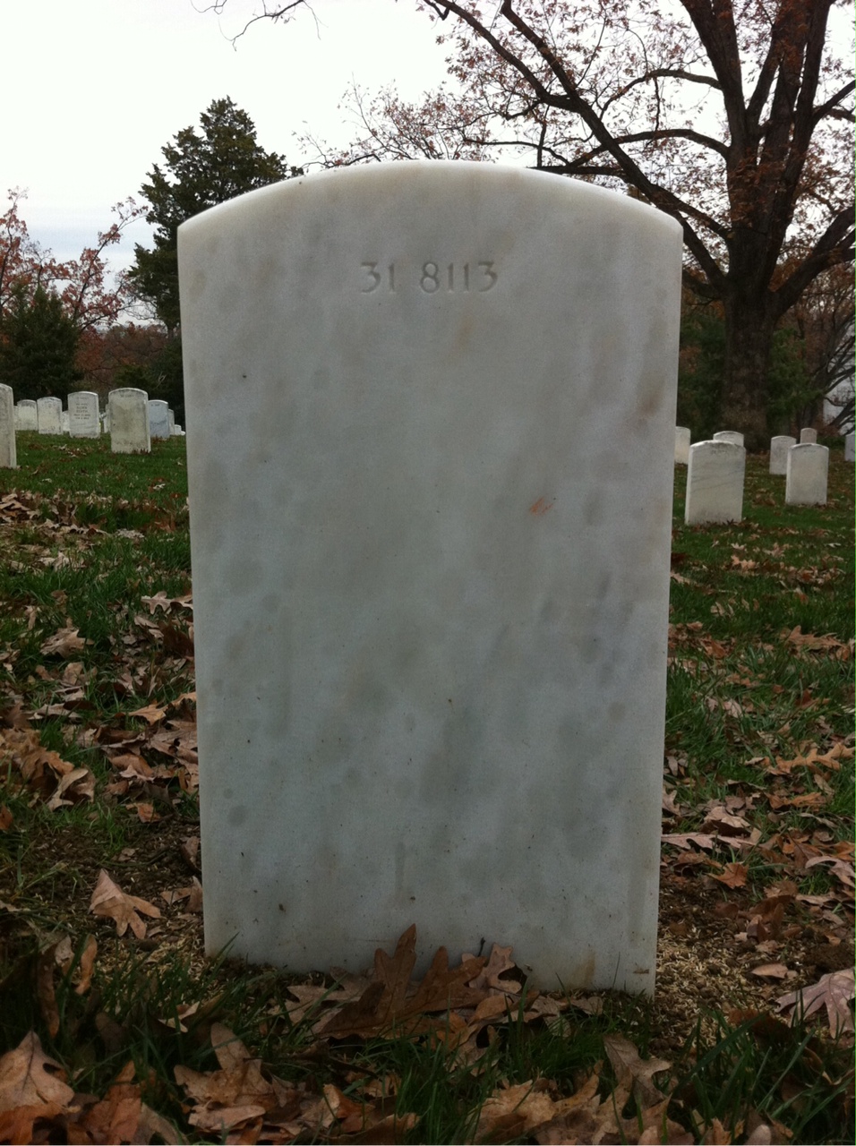 Back of headstone — Vincent Bieksha