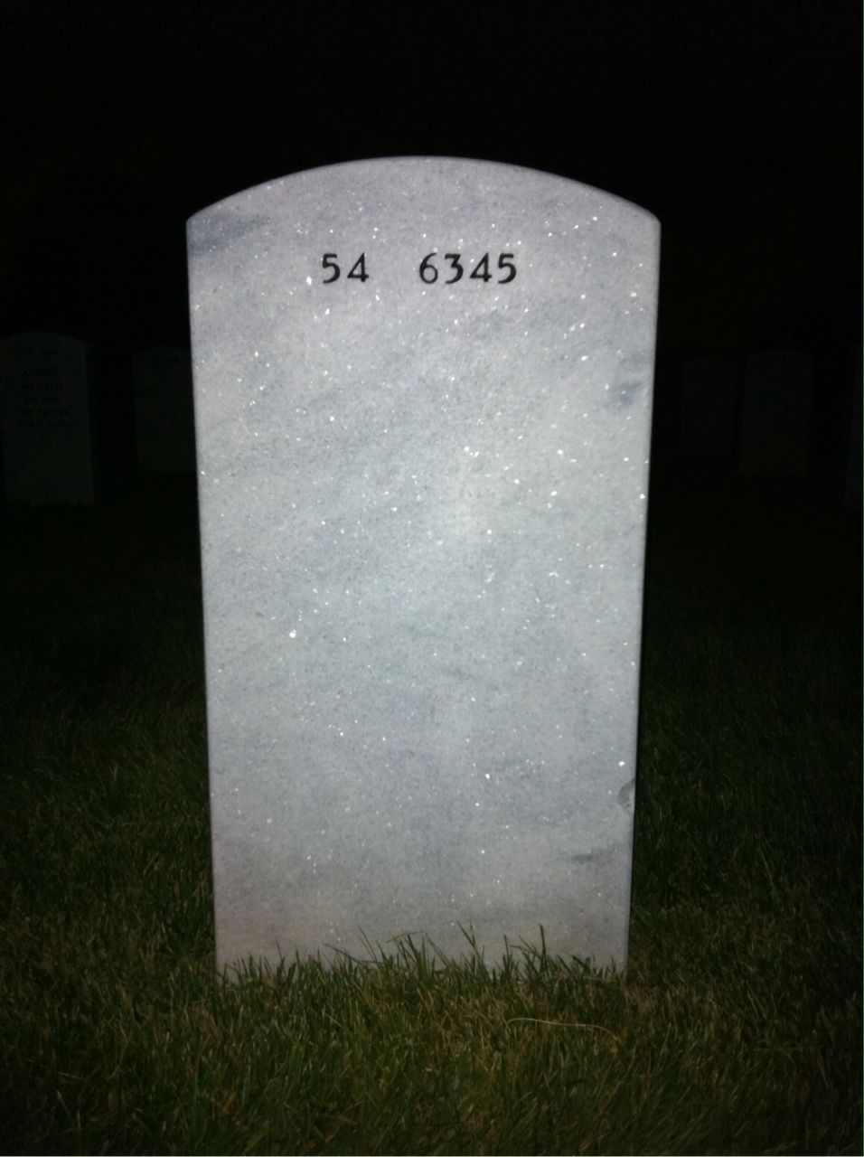 Back of headstone — Thomas Clyde Mcswain