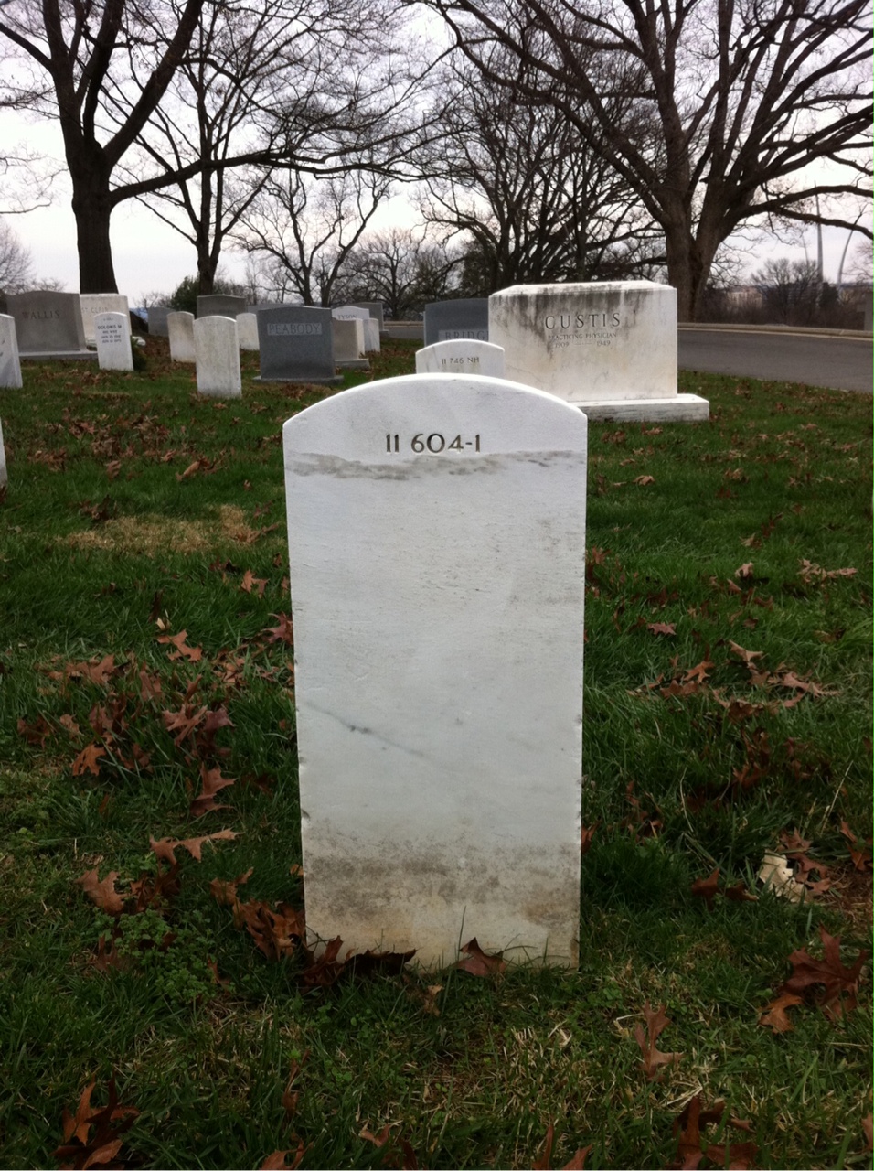 Back of headstone — Alonzo Benson