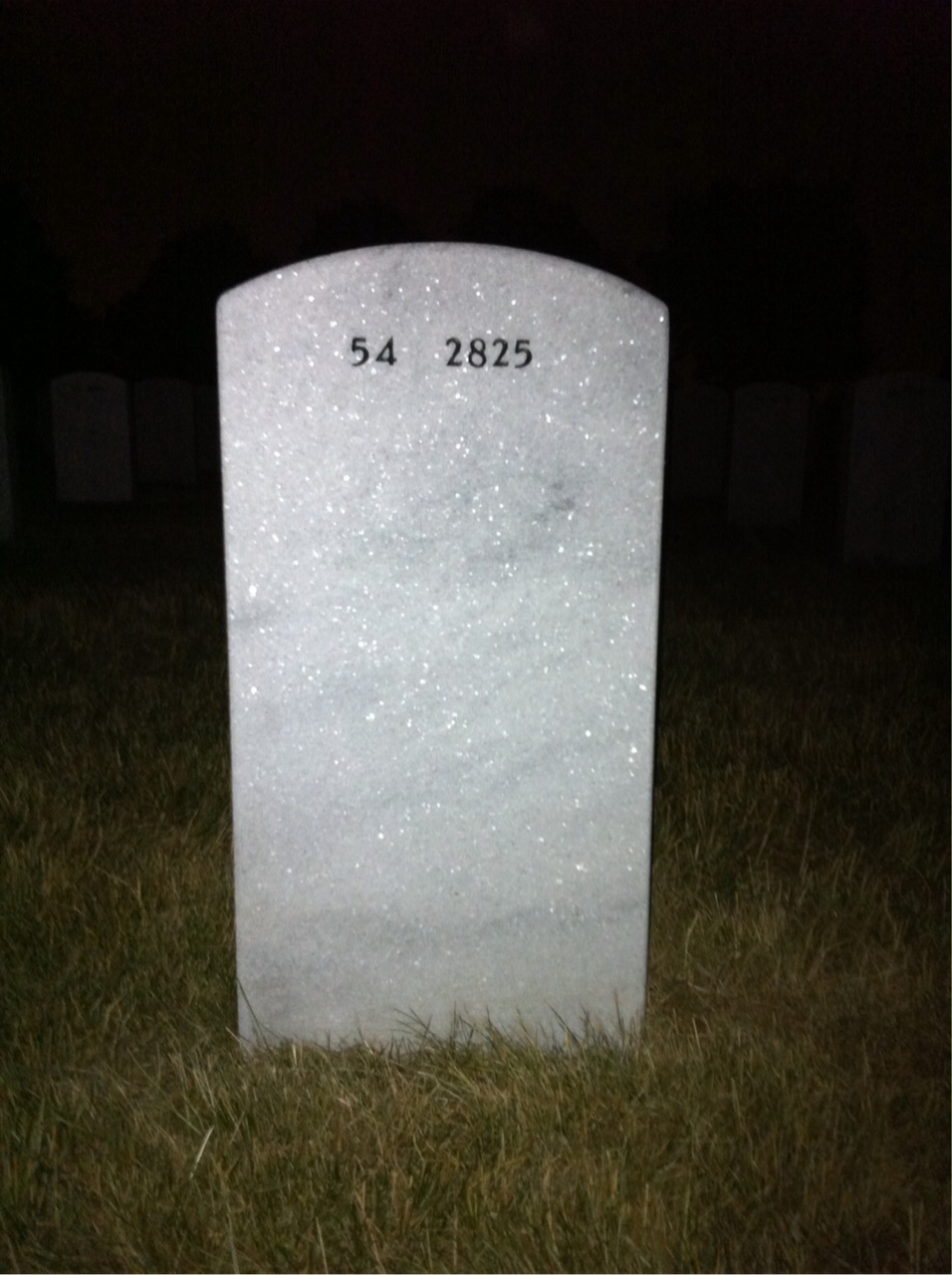 Back of headstone — Irving Graubard