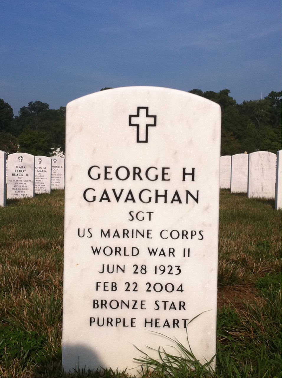 George Gavaghan