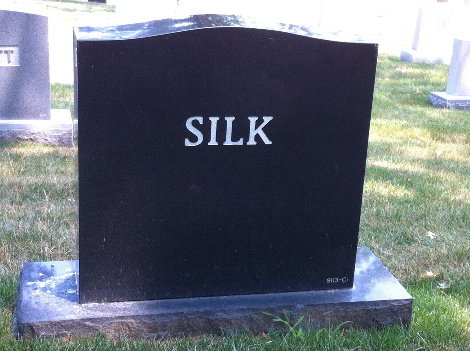 Back of headstone — Francis Silk
