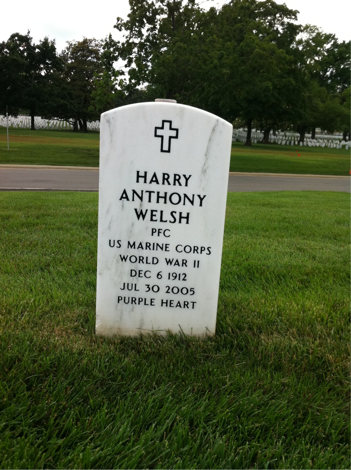 Harry Welsh