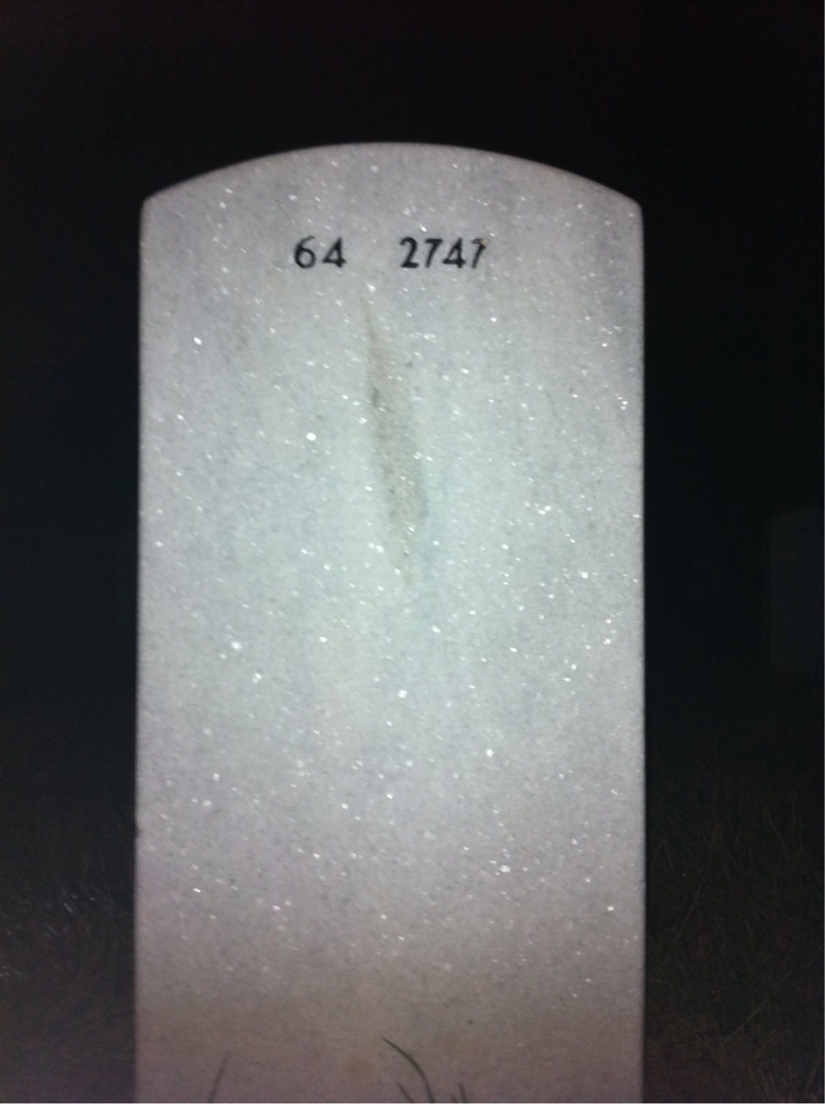 Back of headstone — Jesse Wang