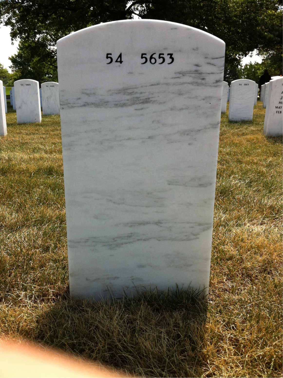 Back of headstone — Llewellyn Shaw