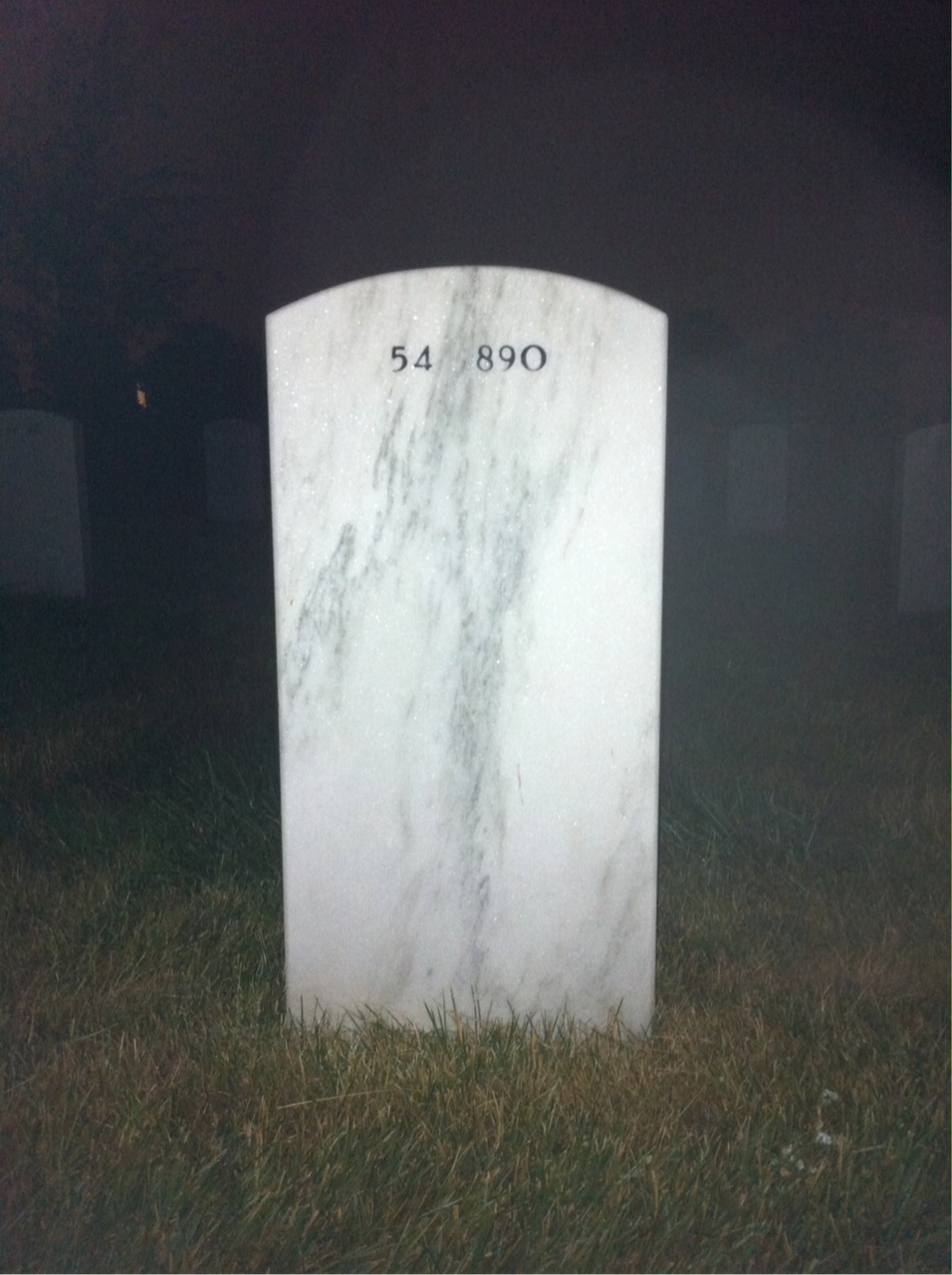 Back of headstone — William Paini