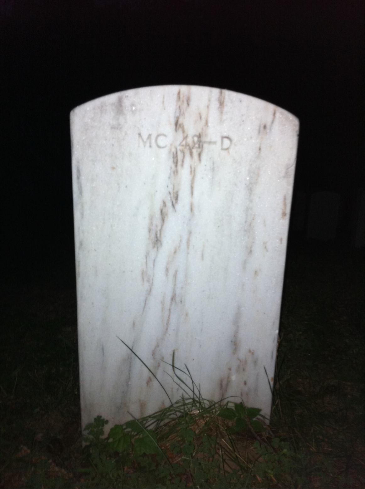 Back of headstone — Alford Palmer