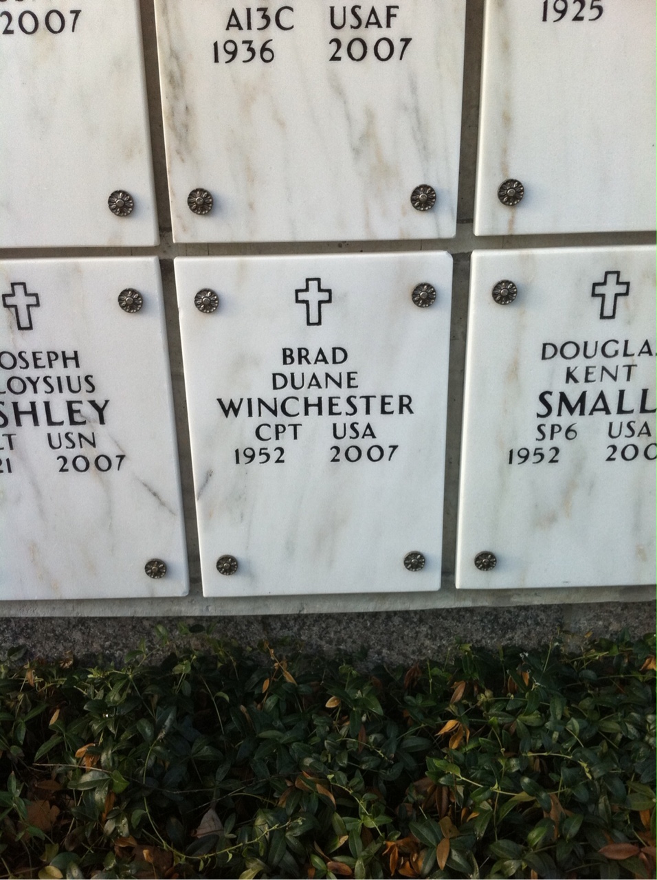 Brad Winchester