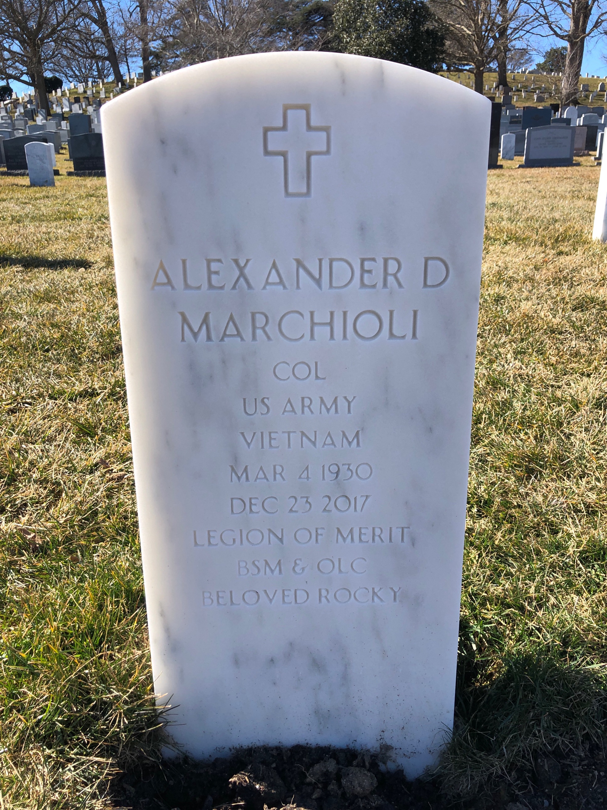 Alexander D Marchioli