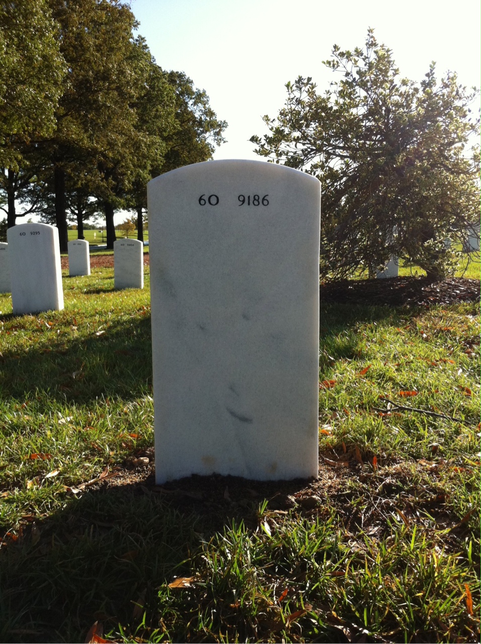 Back of headstone — Timothy Serwinowski