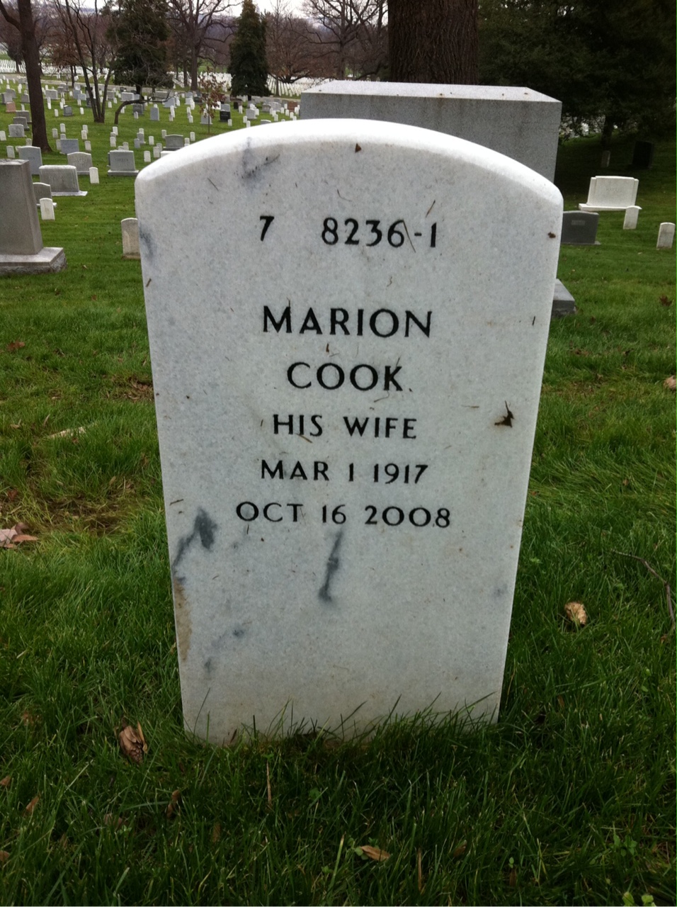 Back of headstone — Chester Ladd