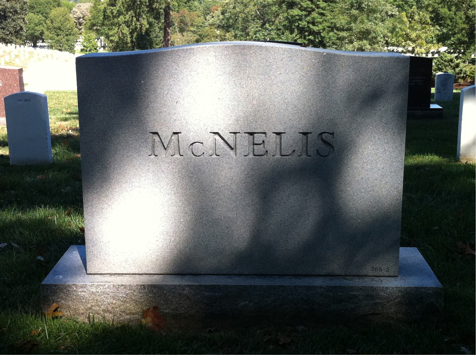 Back of headstone — James Mcnelis