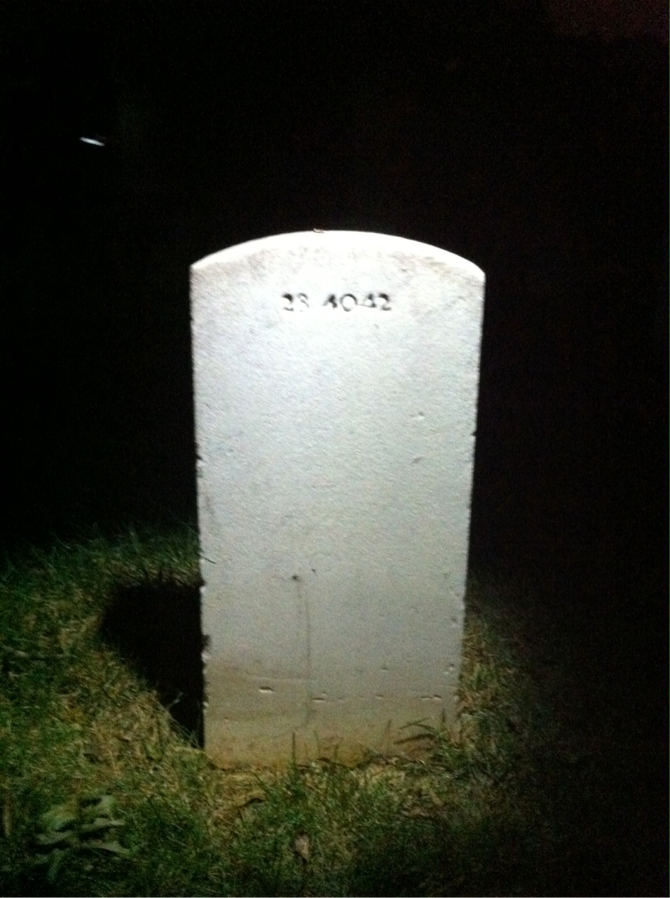 Back of headstone — Hailey Sullivan