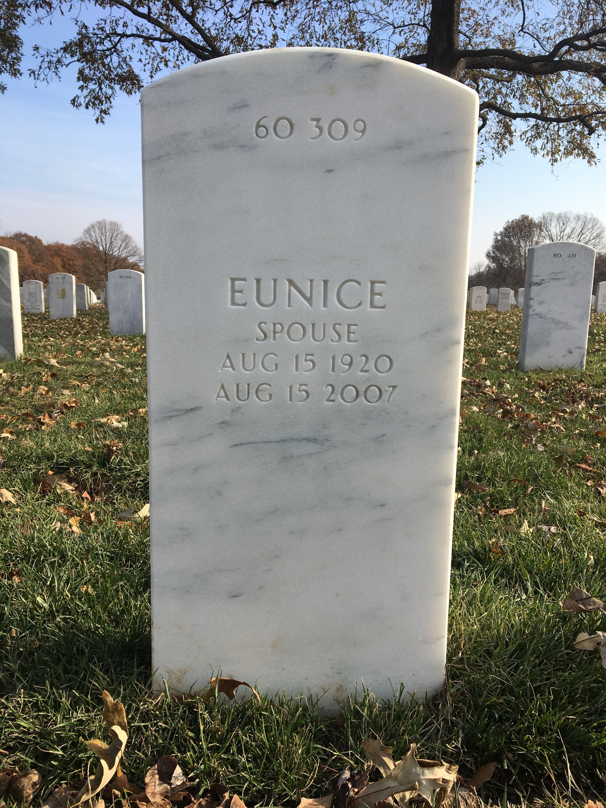 Back of headstone — John Fitzsimons