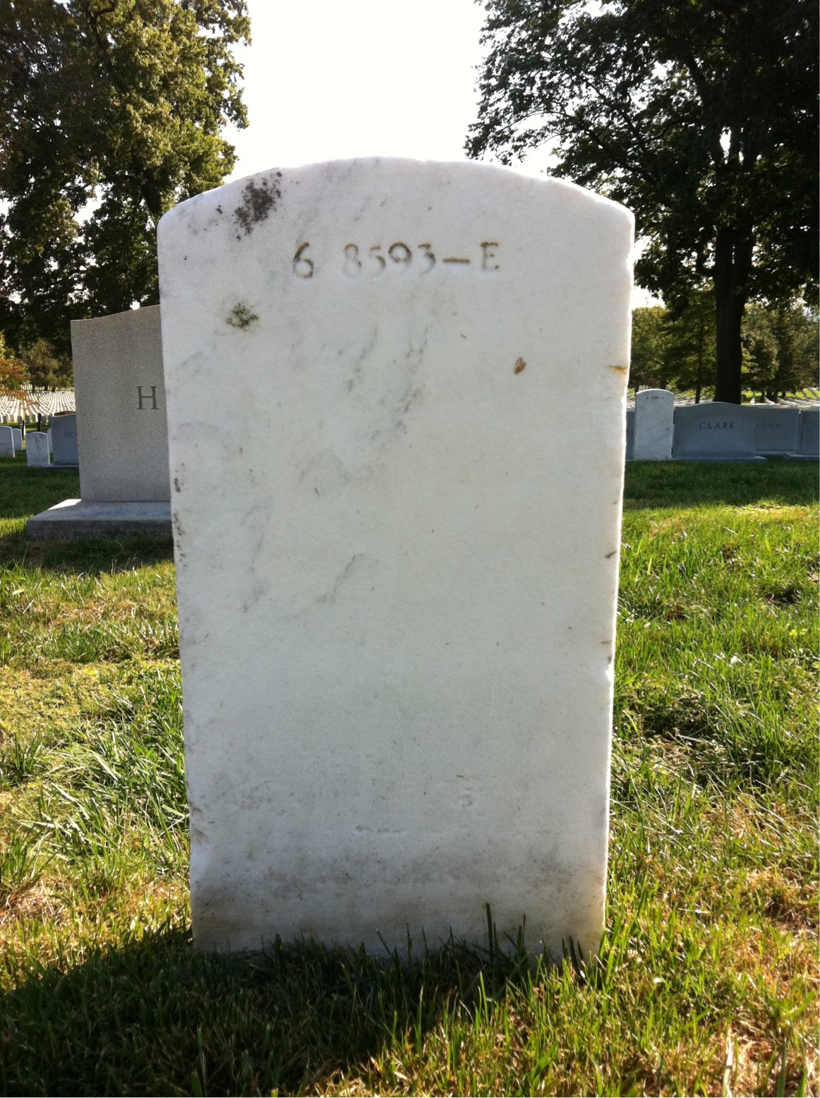 Back of headstone — Wayne Axtell