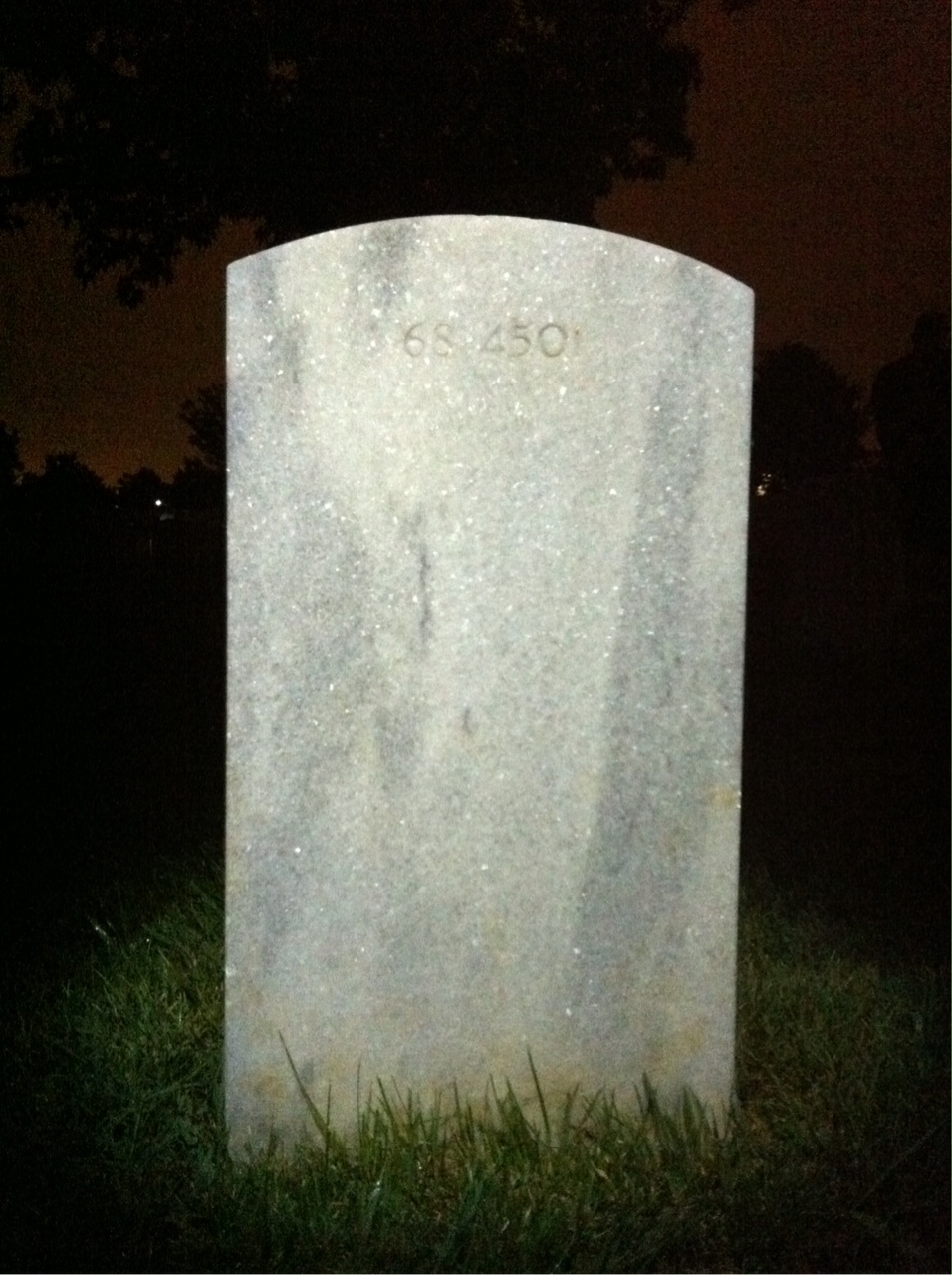 Back of headstone — Wayne Colmer Palm