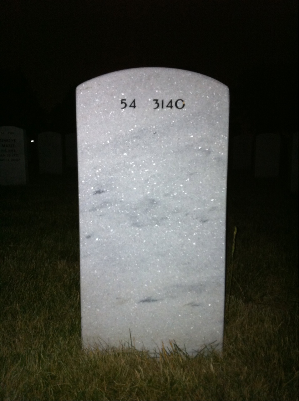 Back of headstone — Scott Hamer