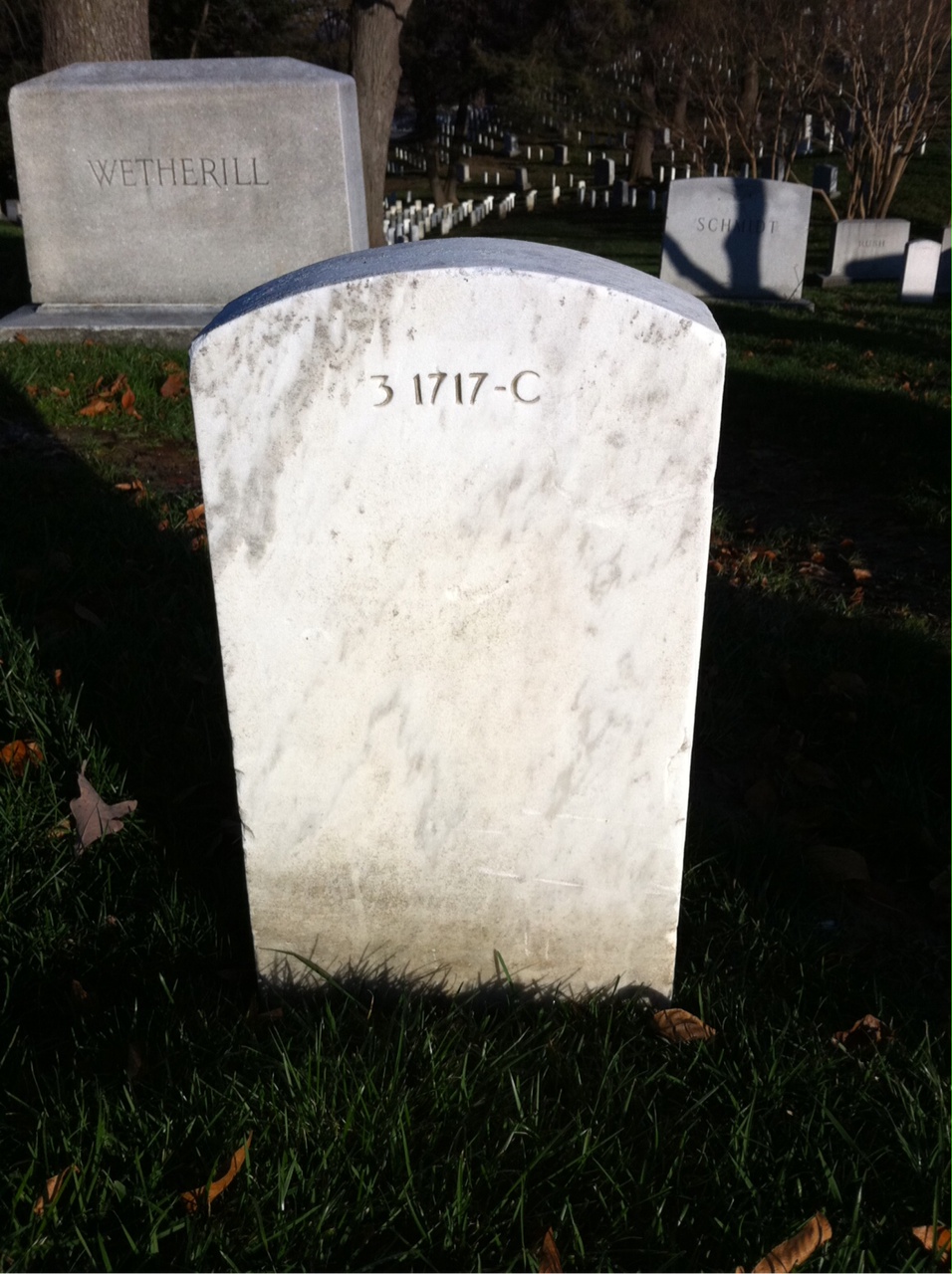 Back of headstone — Leland Berg