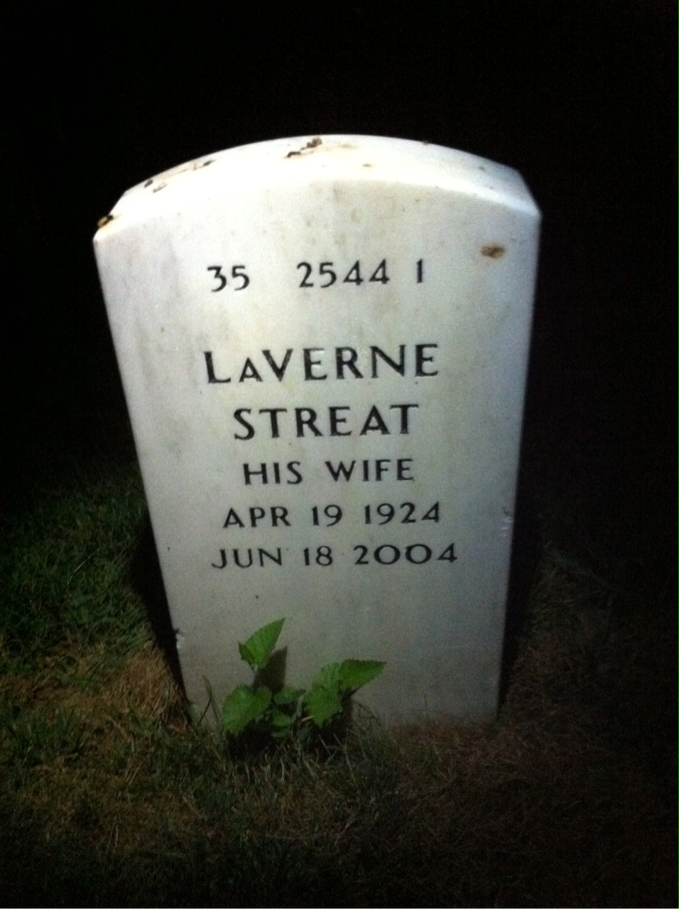 Back of headstone — Carl Fountain