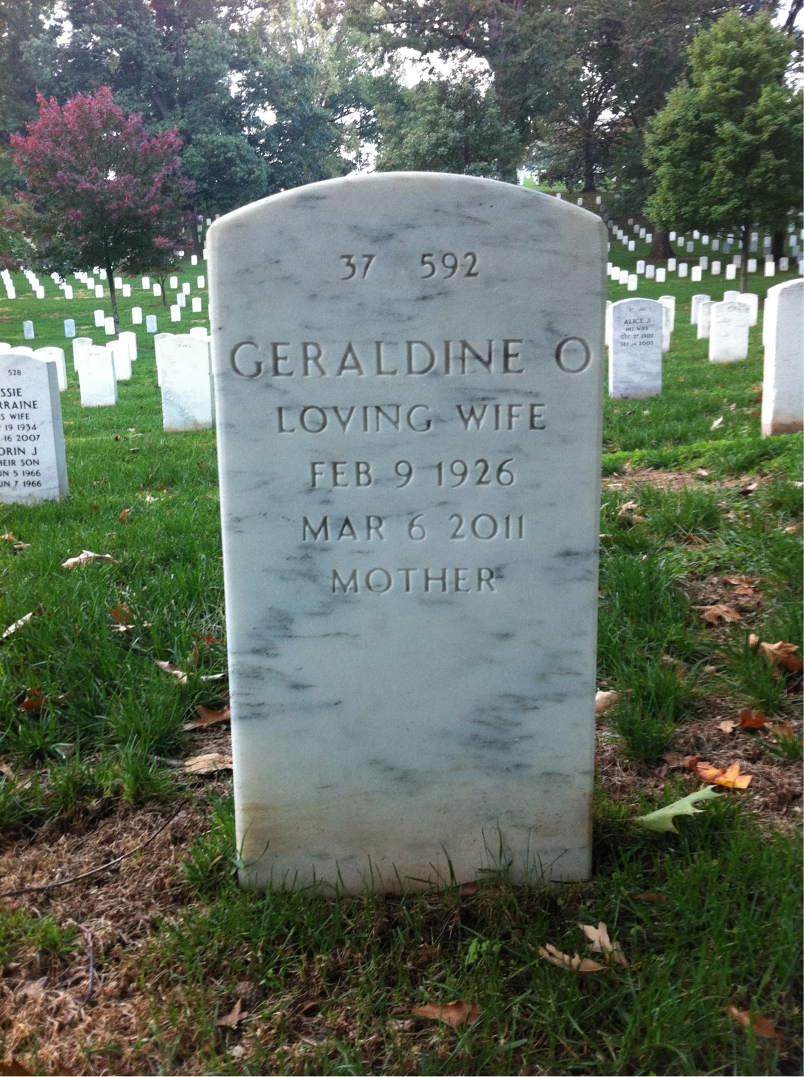 Back of headstone — Timothy Murphy
