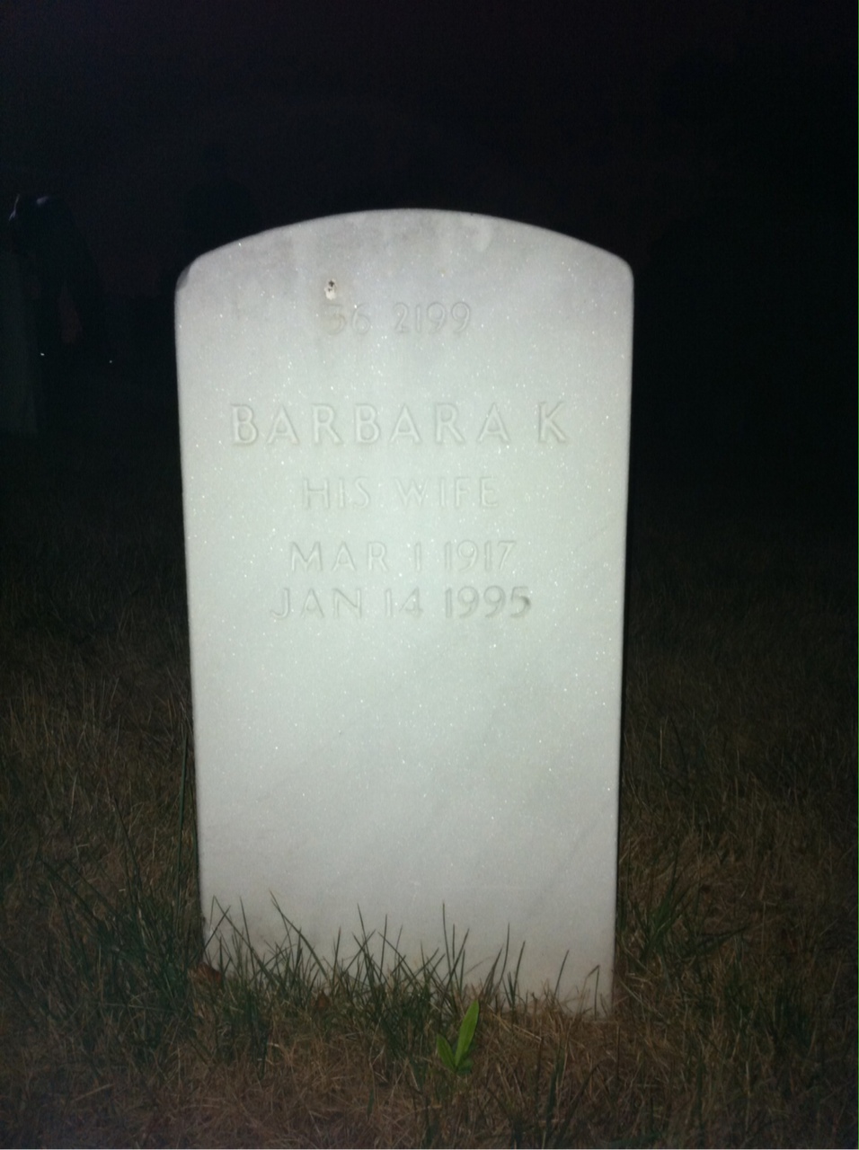 Back of headstone — Wilmont N Trumbull