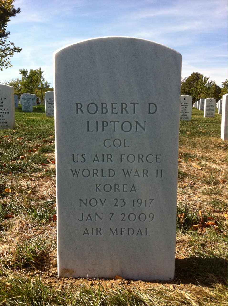 Robert Lipton