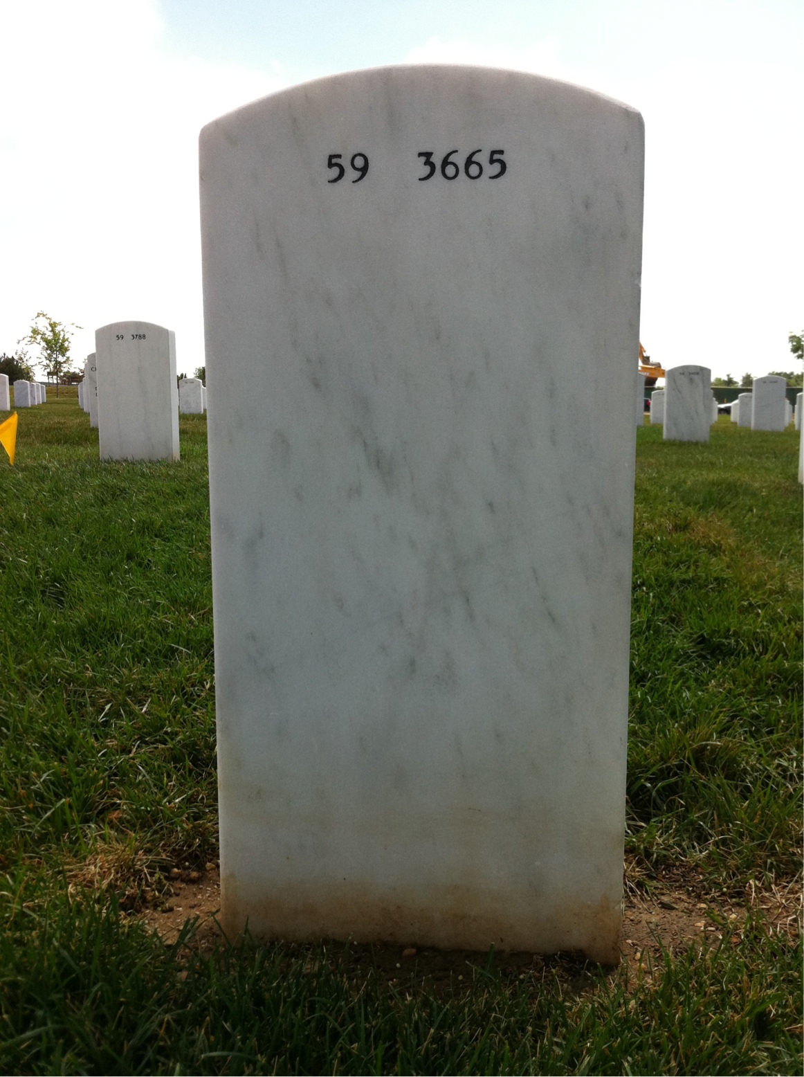 Back of headstone — Bessie Lee