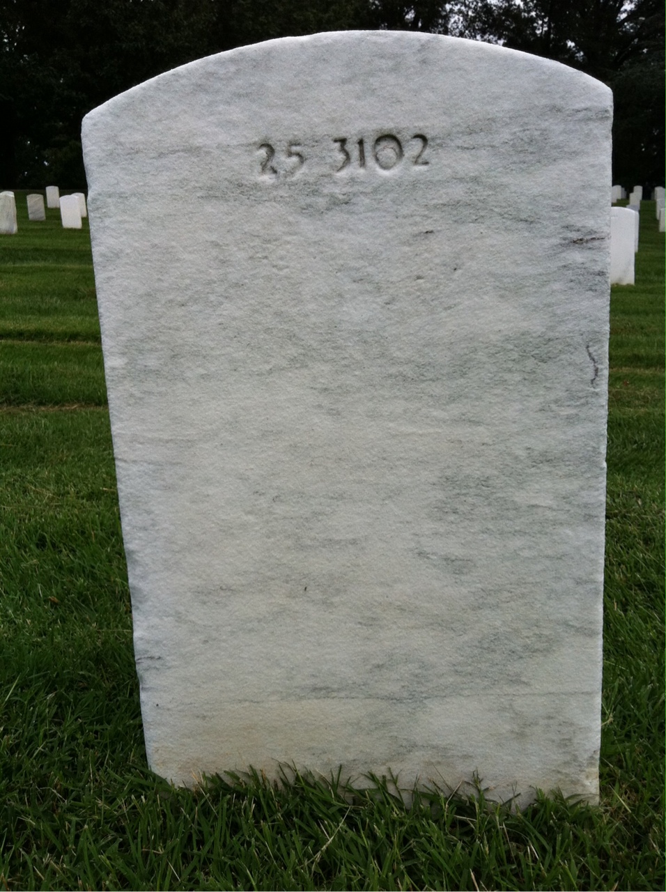 Back of headstone — Johnnie Mingo