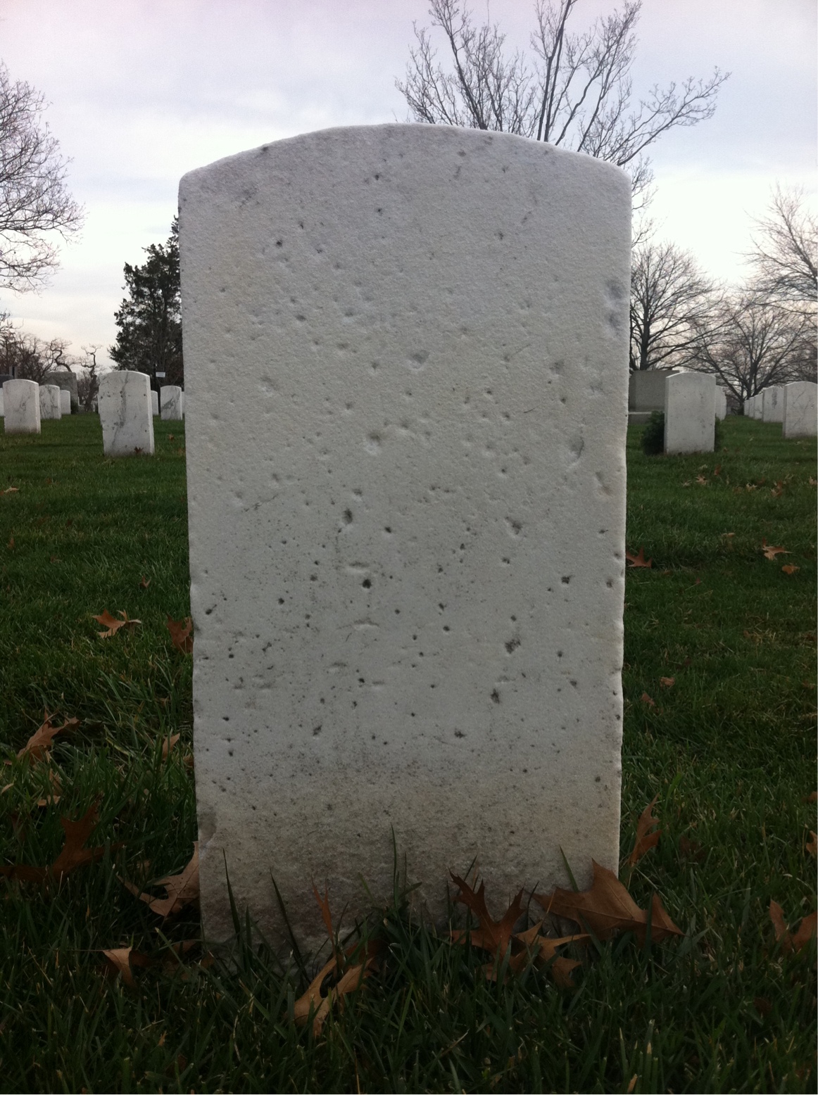 Back of headstone — William Bouis