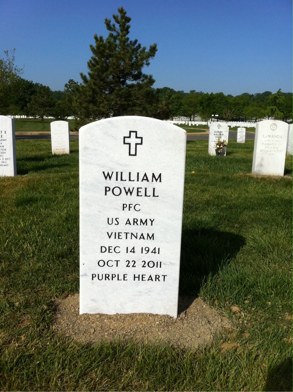 William Powell